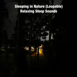 Sleeping in Nature