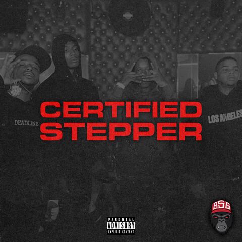Certified Stepper