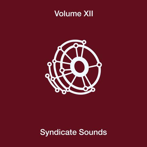 Syndicate Sounds, Vol. 12