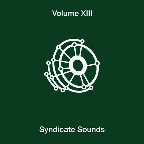 Syndicate Sounds, Vol. 13