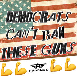 Democrats Can't Ban These Guns