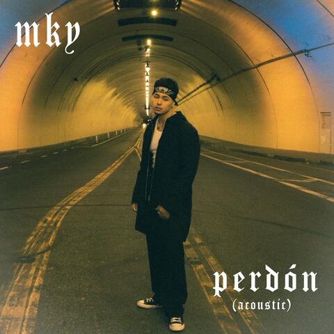 Perdón (Acoustic)