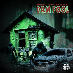 Dam Fool