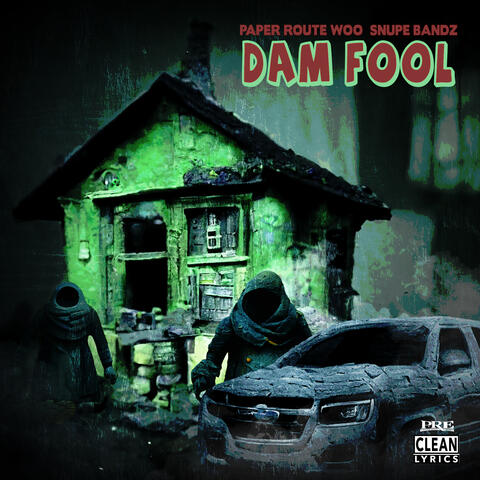 Dam Fool