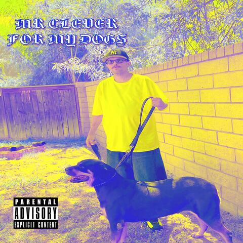 For my Dogs