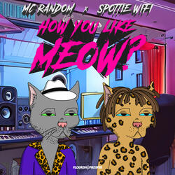 How You Like Meow?