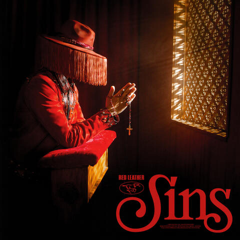 SINS