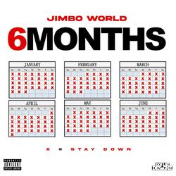 6 Months