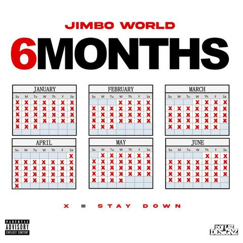 6 Months