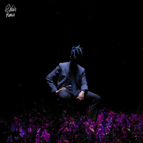12 weeks (remix)