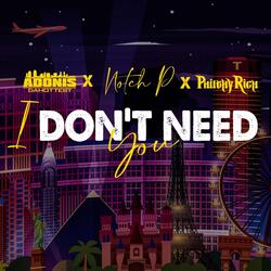 I Don't Need You