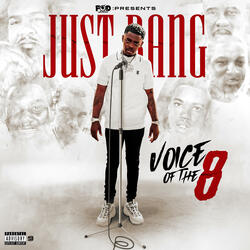 Voice of the 8