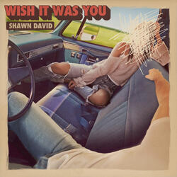 Wish It Was You