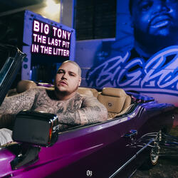 The Last Pit In The Litter