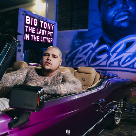 The Last Pit In The Litter