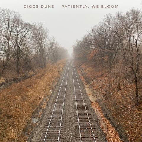 Patiently, We Bloom