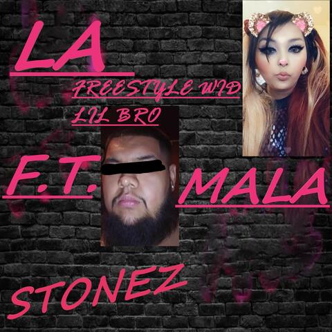 FreeStyle Wid Lil Bro