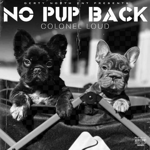 NO PUP BACK