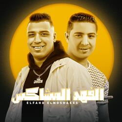 الفهد المشاكس