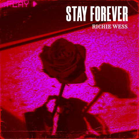 Stay Forever