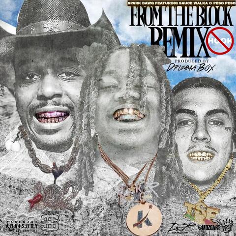 From The Block (Remix No Hook) [feat. Sauce Walka & Peso Peso]