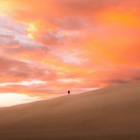 Life's Journey