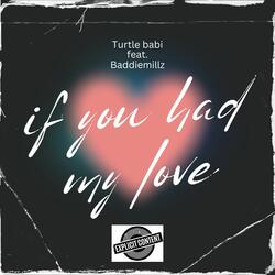 If you had my love