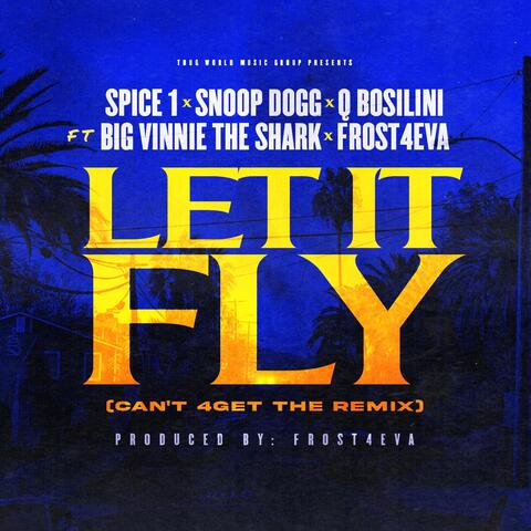 Let It Fly (Can't 4Get The Remix) [feat. Big Vinnie The Shark & Frost4eva] (Radio Edit)