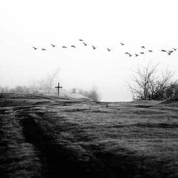 wind