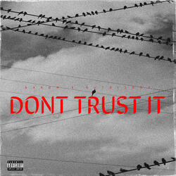 Dont Trust It