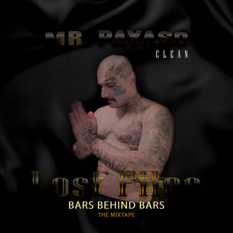 Lost Files Bars Behind Bars