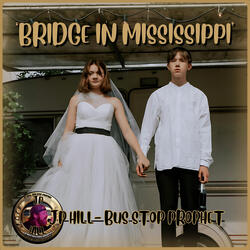 Bridge In Mississippi