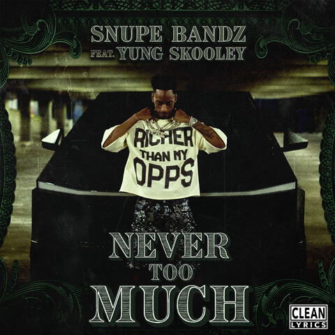 Never Too Much (feat. Yung Skooley)