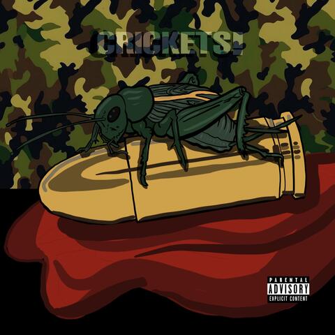 Crickets!