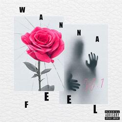 wanna feel