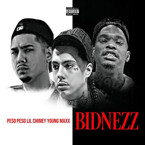 Bidnezzz