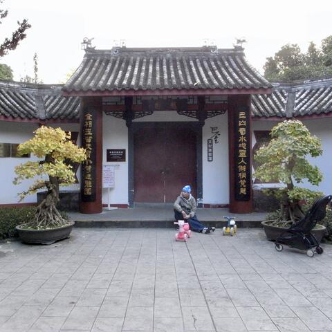 Mosquito (Chengdu Version)