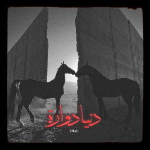 Ya Donya Dawara - ‏ يا دنيا دوارة