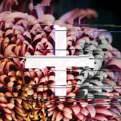 Games You Can Win (Nicolay Remix)