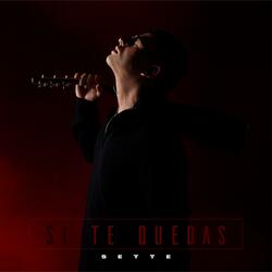Si Te Quedas