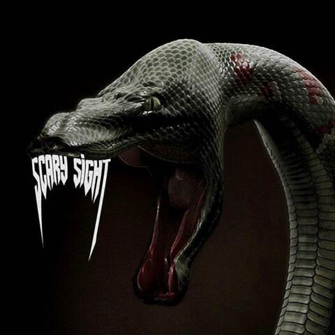 Scary Sight