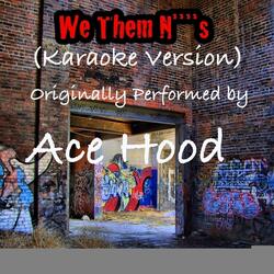We Them N****s We Them N****s (Karaoke Version) (Originally Performed by Ace Hood)