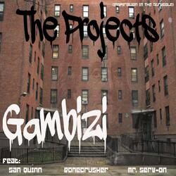 The Projects