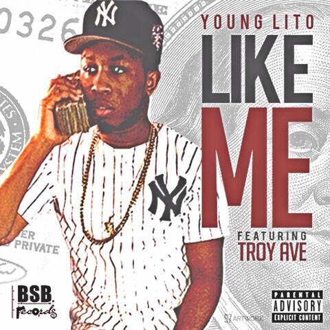 Like Me (feat. Troy Ave)