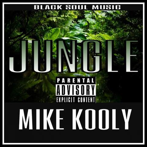 Jungle (Remix) [feat. Ray Rizz, Black Mikey, G2g, Ilijah & Mick B]