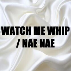 Watch Me Whip /Nae Nae (In the Style of Silento) [Karaoke Version]