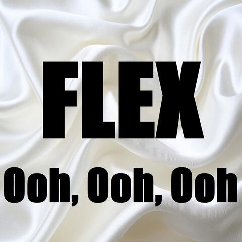 Flex (Ooh, Ooh, Ooh) (In the Style of Rich Homie Quan) [Karaoke Version]