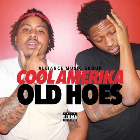 Old Hoes