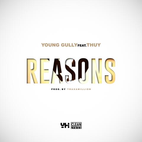 Reasons (feat. Thuy)