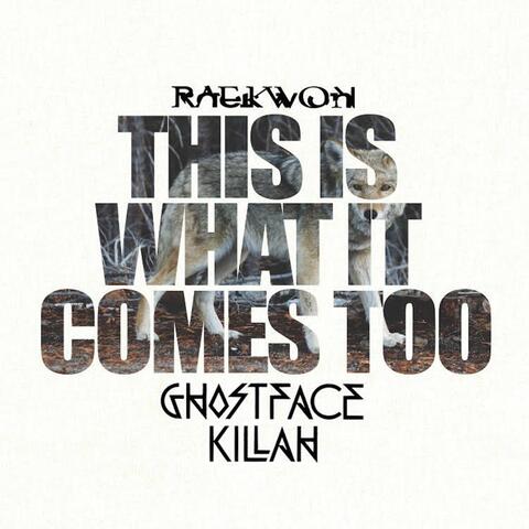 This Is What It Comes Too (Remix) [feat. Ghostface Killah]